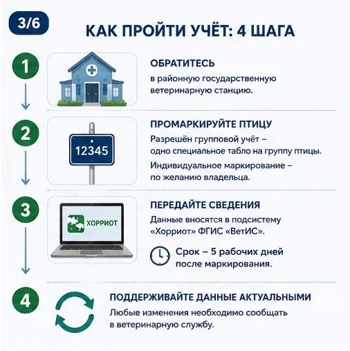 Владельцев ЛПХ обязали поставить домашнюю птицу на ветеринарный учёт до сентября Владельцев ЛПХ обязали поставить домашнюю птицу на ветеринарный учёт до сентября