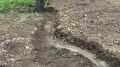 � ����������� ������ ������������ ���������� ����������� �������