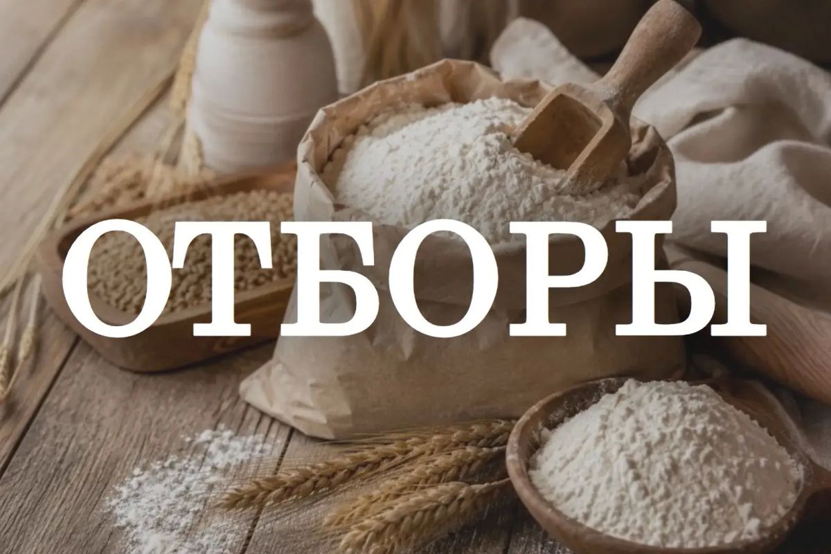 Стартовали отборы претендентов на предоставление субсидии на поддержку предприятий пищевой промышленности и сельхозпроизводителей!
