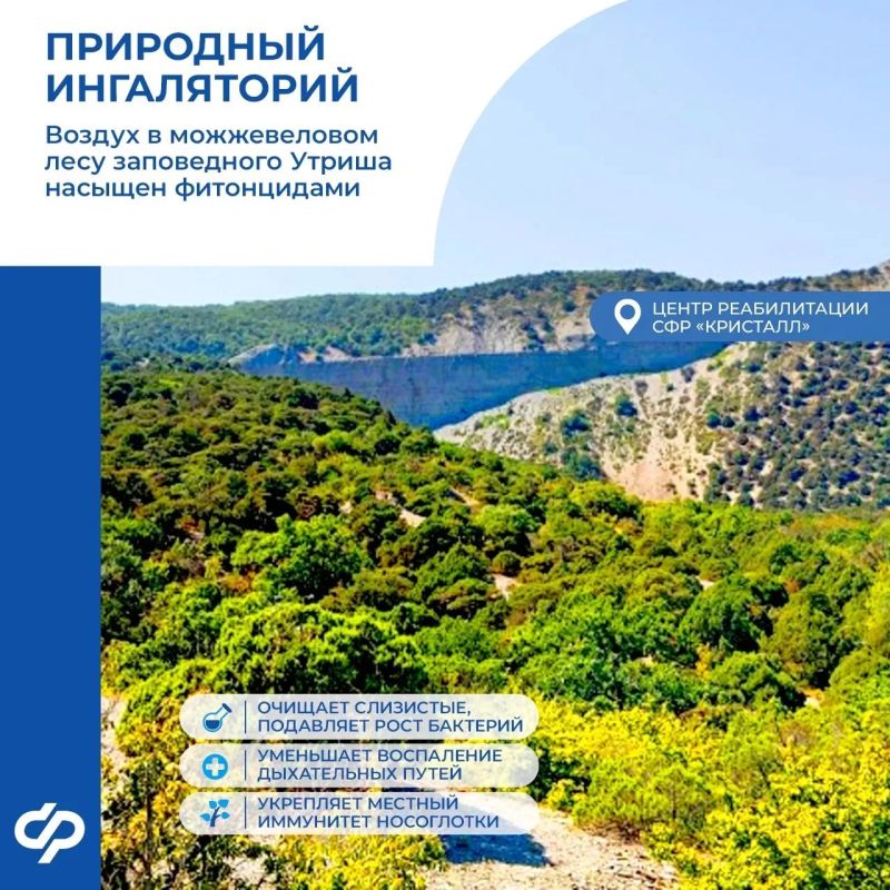 На берегу Черного моря можно не только отдохнуть, но и пройти комплексную реабилитацию На берегу Черного моря можно не только отдохнуть, но и пройти комплексную реабилитацию