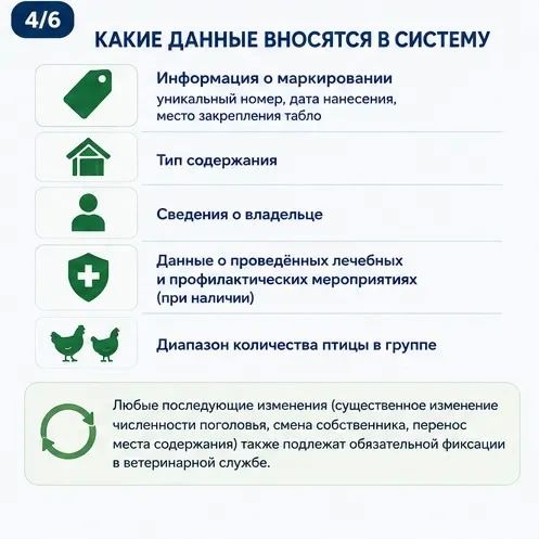 Владельцев ЛПХ обязали поставить домашнюю птицу на ветеринарный учёт до сентября Владельцев ЛПХ обязали поставить домашнюю птицу на ветеринарный учёт до сентября