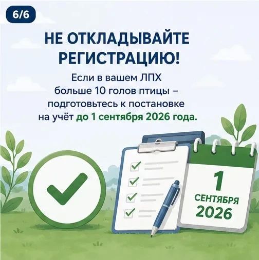 Владельцев ЛПХ обязали поставить домашнюю птицу на ветеринарный учёт до сентября Владельцев ЛПХ обязали поставить домашнюю птицу на ветеринарный учёт до сентября