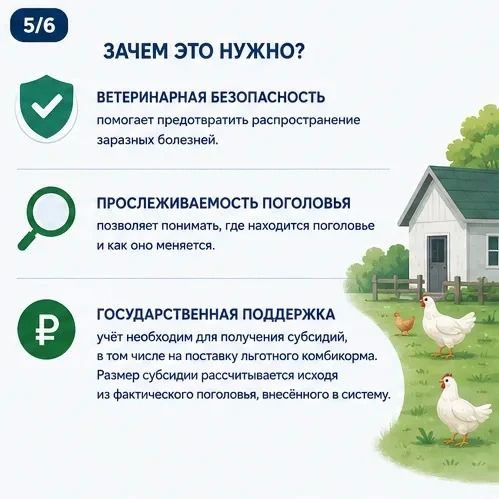 Владельцев ЛПХ обязали поставить домашнюю птицу на ветеринарный учёт до сентября Владельцев ЛПХ обязали поставить домашнюю птицу на ветеринарный учёт до сентября