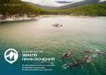 День российского кино отмечают на Дальнем Востоке