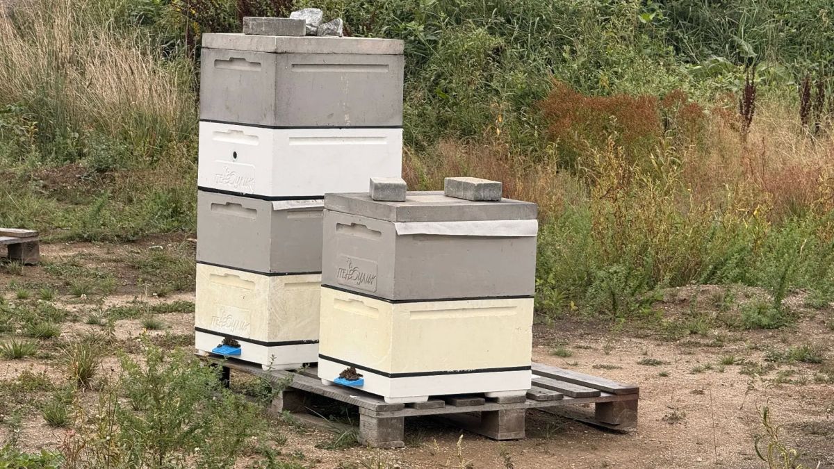 Сахалинские ветераны СВО открывают своё дело благодаря социальному контракту Сахалинские ветераны СВО открывают своё дело благодаря социальному контракту