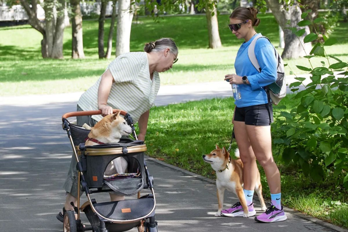 Красота города – в людях. Доброе утро, южносахалинцы! Сегодня отмечается Международный день мечты Красота города – в людях. Доброе утро, южносахалинцы! Сегодня отмечается Международный день мечты