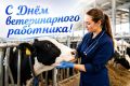 Сегодня отмечается День ветеринарного работка!