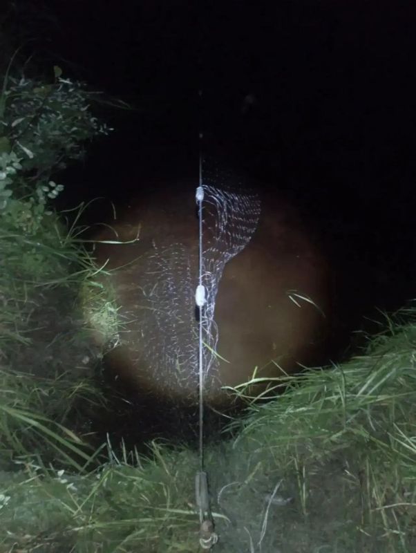 Штрафов на 750 тысяч рублей выписали инспекторы рыбоохраны за неделю на территории области Штрафов на 750 тысяч рублей выписали инспекторы рыбоохраны за неделю на территории области
