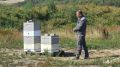 СВОю мини-пасеку открыл ветеран специальной военной операции в Анивском районе