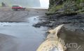 Огромное морское животное выбросило на побережье Курил