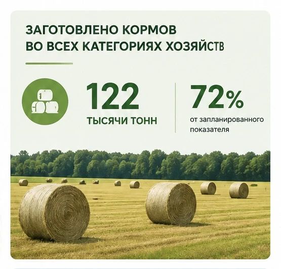 Более 70% запланированных кормов заготовили островные животноводы! Более 70% запланированных кормов заготовили островные животноводы!