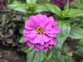 � �������� ���� ������ ������