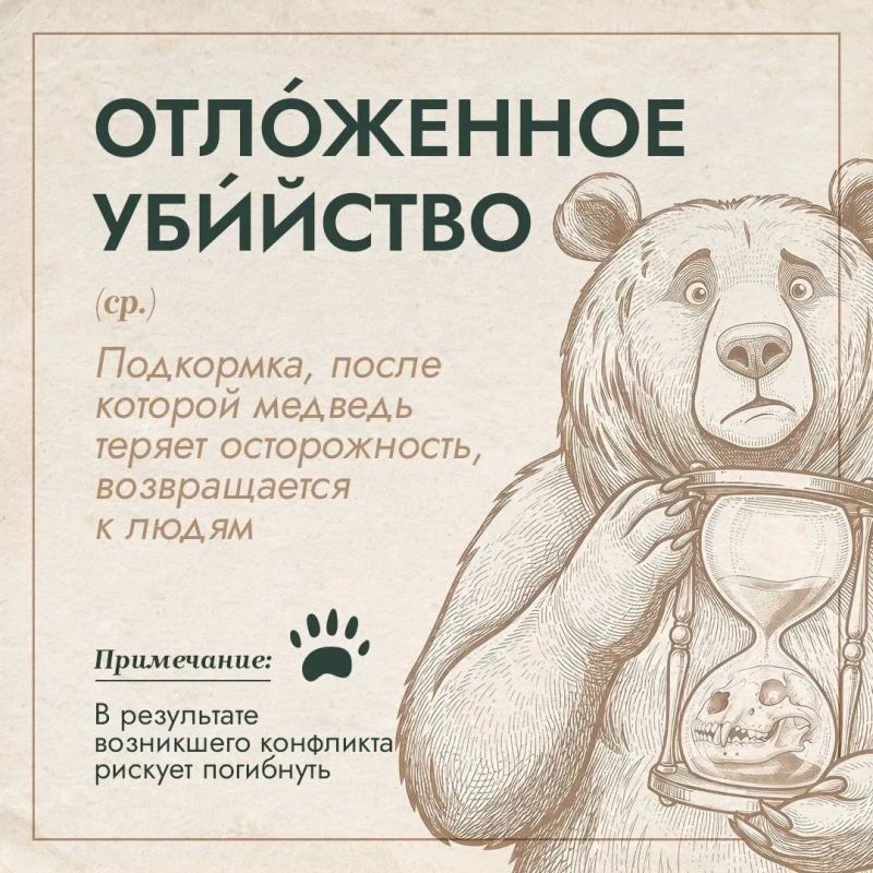 "Великан", "отложенное убийство", "тихий ниндзя": в России появился медвежий словарь "Великан", "отложенное убийство", "тихий ниндзя": в России появился медвежий словарь