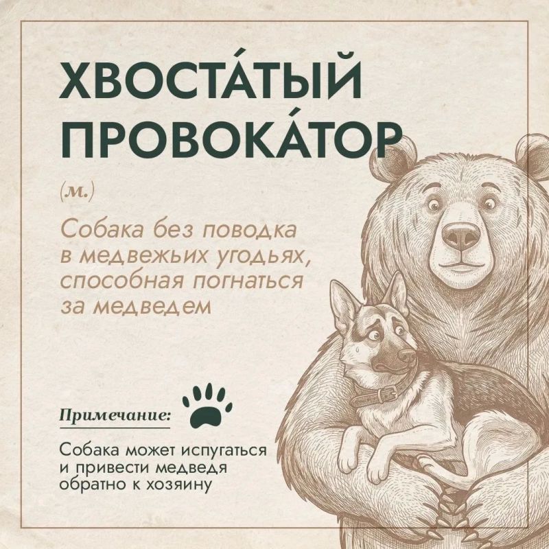 "Великан", "отложенное убийство", "тихий ниндзя": в России появился медвежий словарь "Великан", "отложенное убийство", "тихий ниндзя": в России появился медвежий словарь