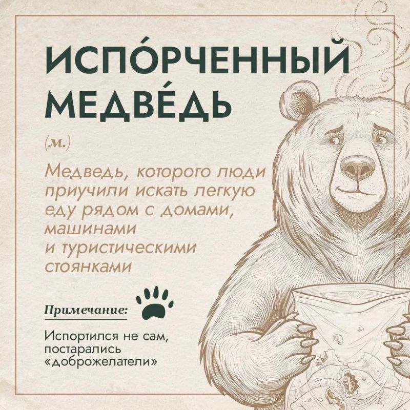 "Великан", "отложенное убийство", "тихий ниндзя": в России появился медвежий словарь "Великан", "отложенное убийство", "тихий ниндзя": в России появился медвежий словарь