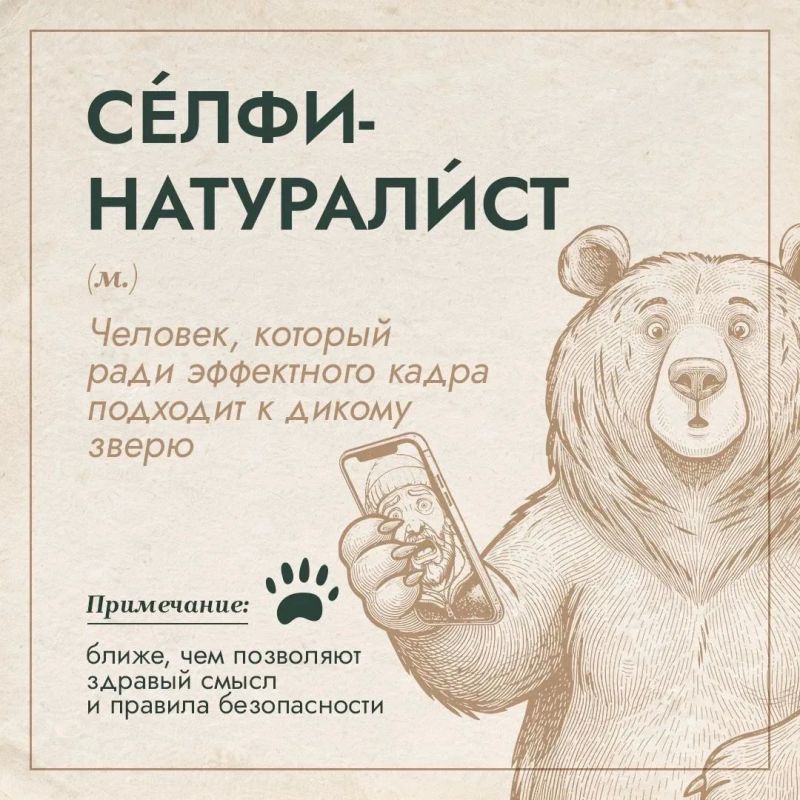 "Великан", "отложенное убийство", "тихий ниндзя": в России появился медвежий словарь "Великан", "отложенное убийство", "тихий ниндзя": в России появился медвежий словарь