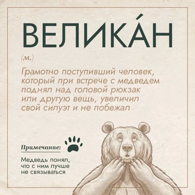 "Великан", "отложенное убийство", "тихий ниндзя": в России появился медвежий словарь "Великан", "отложенное убийство", "тихий ниндзя": в России появился медвежий словарь