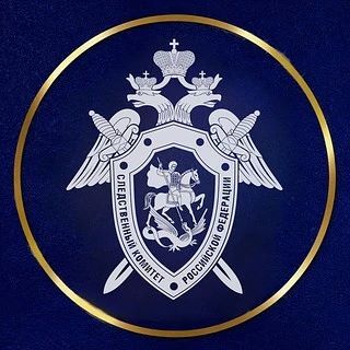 Следователями организована проверка по информации из соцмедиа об уводе женщиной малолетнего ребенка с детской площадки в пгт