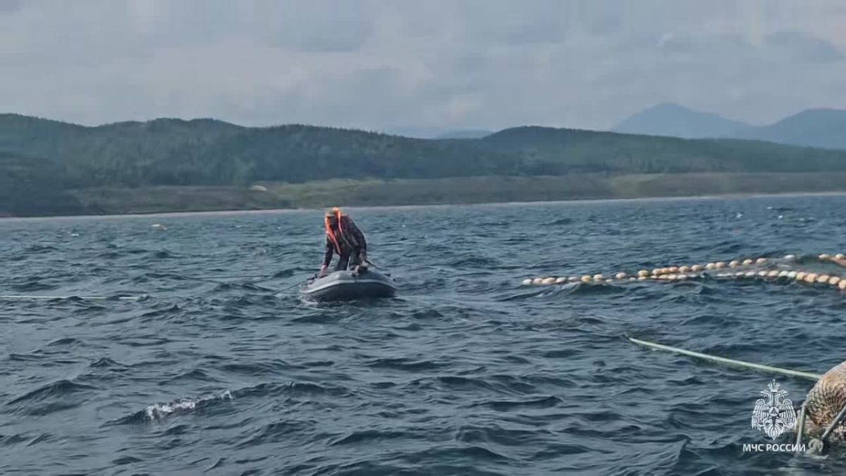 65-летнего сахалинца чуть не унесло на вёсельной лодке в открытое море