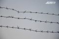 На Сахалине осуждённый пытался получить наркотики по почте