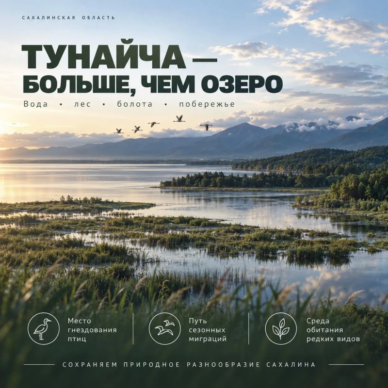 Озеро Тунайча — памятник природы регионального значения, расположенный в Корсаковском муниципальном округе Озеро Тунайча — памятник природы регионального значения, расположенный в Корсаковском муниципальном округе