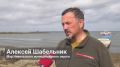 На Сахалине начинают системно помогать сивучам