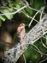 Доброе утро, Южный!. Вот и наступила середина сентября