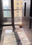 Доброе утро Сахалин. Наши предки верили, что 16 сентября нельзя отправляться в дальнюю дорогу, иначе путешествие будет неудачным