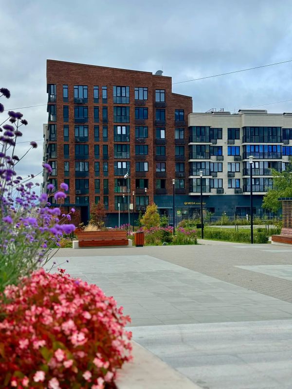 Доброе утро, Южный!. Сентябрь в городе по-прежнему яркий Доброе утро, Южный!. Сентябрь в городе по-прежнему яркий