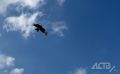 На Сахалине тепло и ясно, а на Курилах дожди и облака: прогноз на 19 сентября
