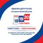 В 8 часов утра в островном регионе открылись избирательные участки и стартовали выборы депутатов Государственной думы девятого созыва