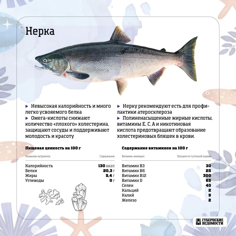 Морская сила на вашей тарелке: какую рыбу выбрать? Морская сила на вашей тарелке: какую рыбу выбрать?