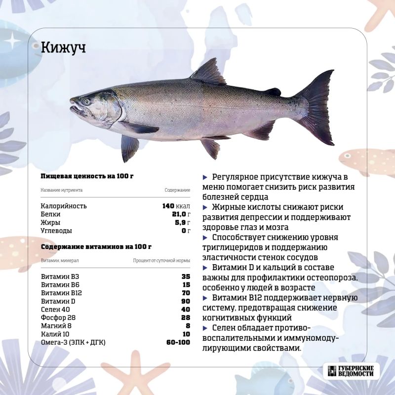Морская сила на вашей тарелке: какую рыбу выбрать? Морская сила на вашей тарелке: какую рыбу выбрать?