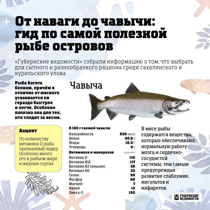 Морская сила на вашей тарелке: какую рыбу выбрать?