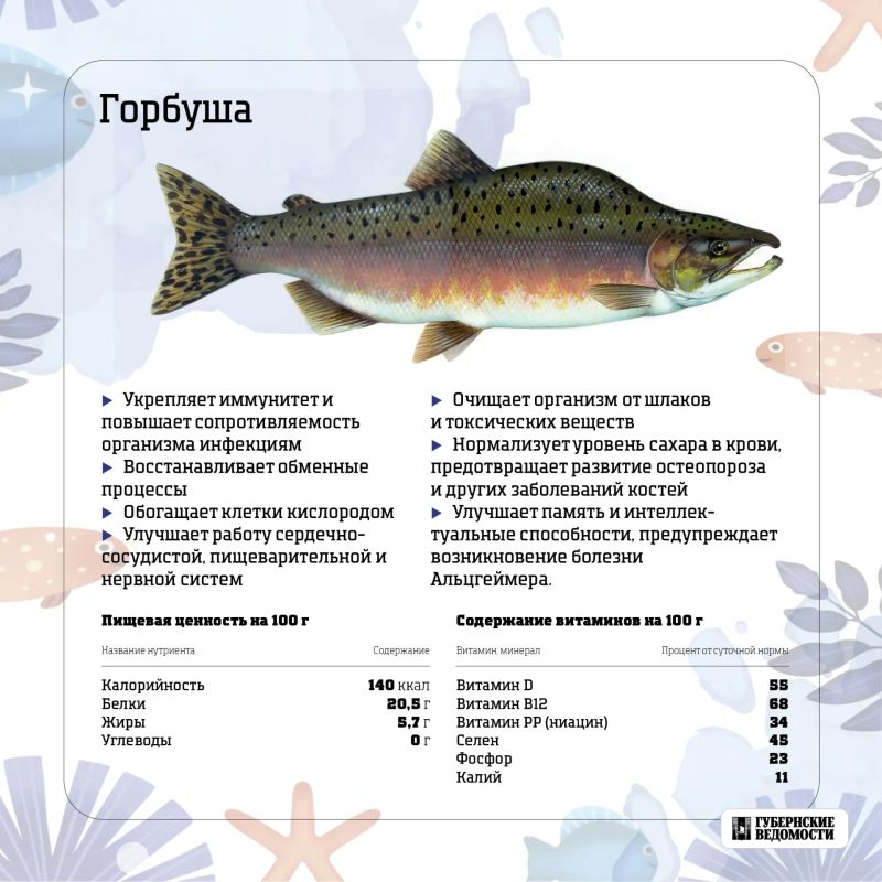 Морская сила на вашей тарелке: какую рыбу выбрать? Морская сила на вашей тарелке: какую рыбу выбрать?