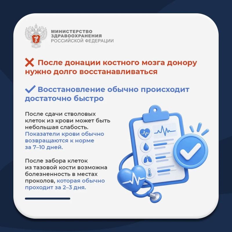 Мифы и правда о костном мозге Мифы и правда о костном мозге