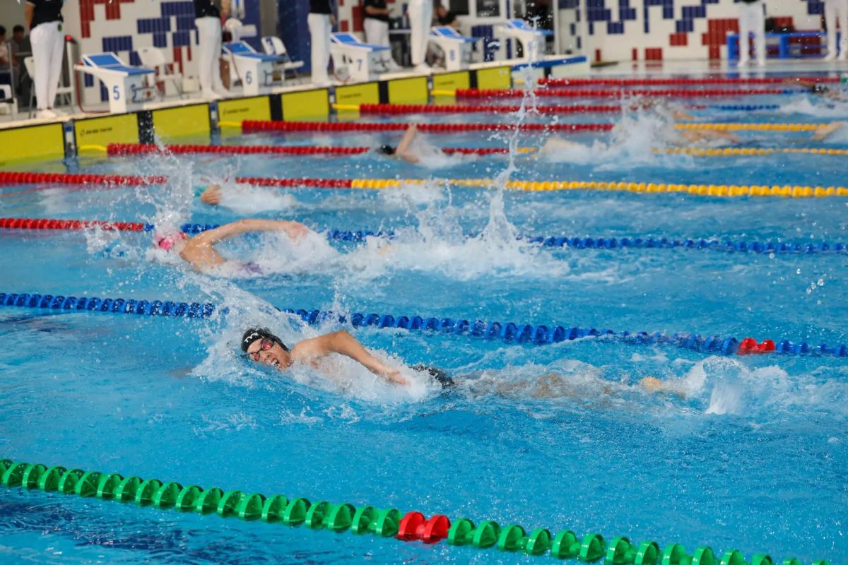 Около 200 пловцов сражаются за звание сильнейших на региональном чемпионате Около 200 пловцов сражаются за звание сильнейших на региональном чемпионате