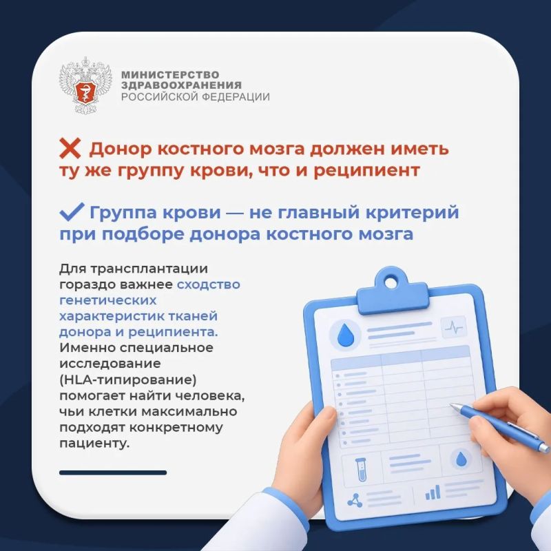 Мифы и правда о костном мозге Мифы и правда о костном мозге