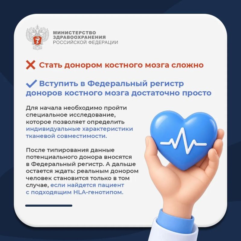 Мифы и правда о костном мозге Мифы и правда о костном мозге