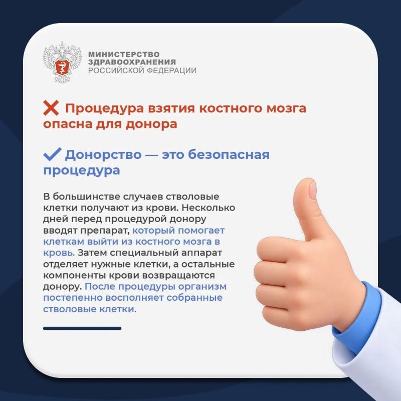 Мифы и правда о костном мозге Мифы и правда о костном мозге