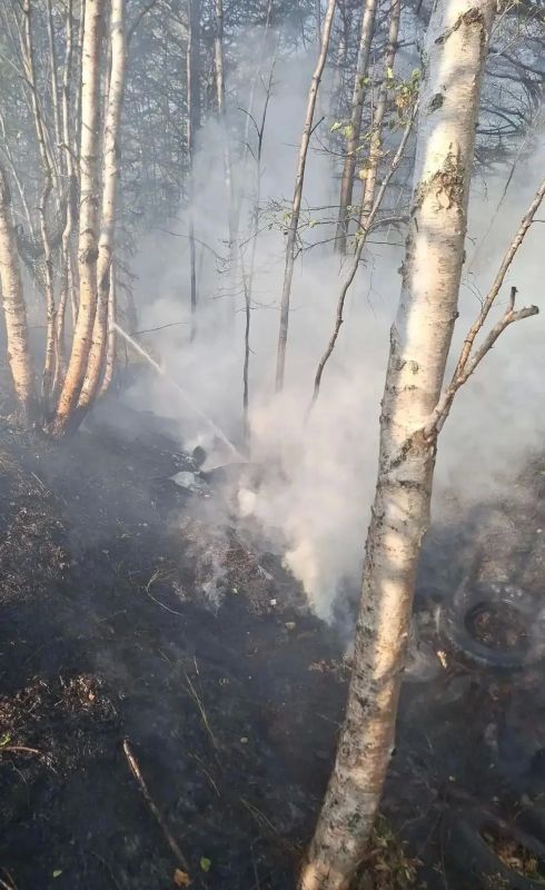 В Анивском районе горела трава на площади 1 гектар В Анивском районе горела трава на площади 1 гектар