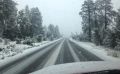 Попавшая в ДТП сахалинка заставила дорожников выплатить ущерб в более 500 тысяч рублей