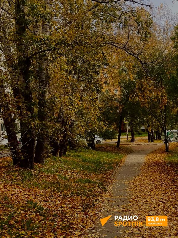 Еще немного — и выходные. Хабаровск +4°C ночью, +16°C днем