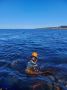 Учёные оценили состояние сахарины японской и морского ежа в заливе Анива