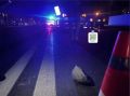 Полиция ищет очевидцев смертельного ДТП в ЮжноСахалинске