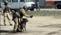 "Атака беспилотника": антитеррористические учения провели на Сахалине