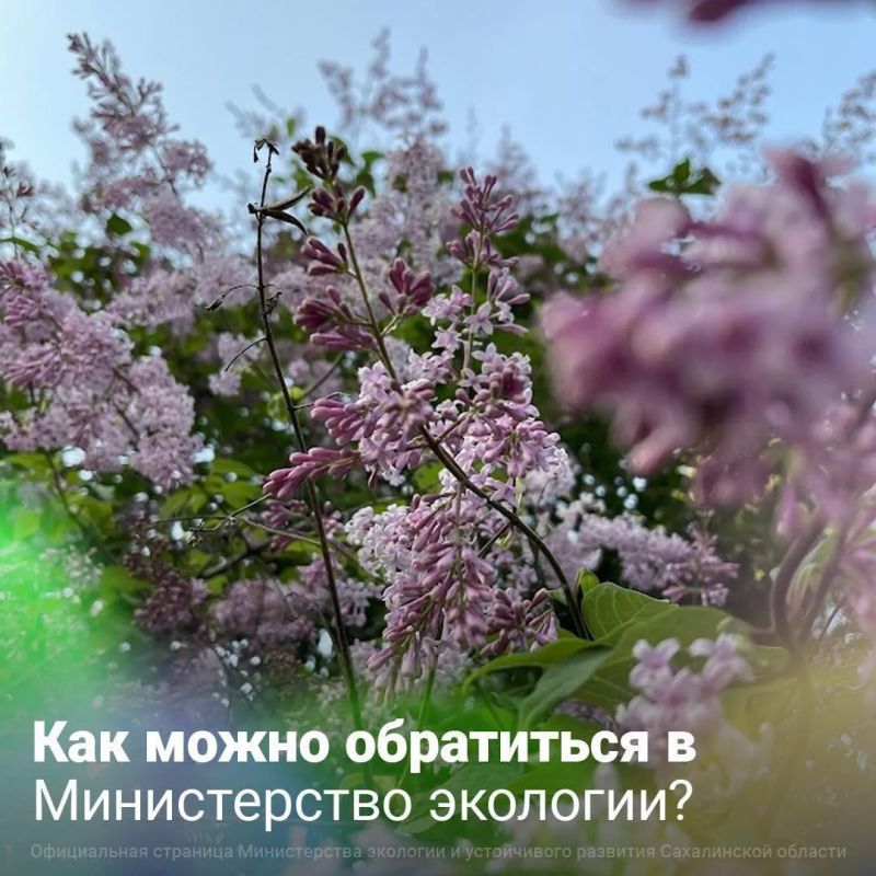 Написать обращение в Минэкологии очень просто