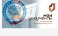Новые услуги от налоговой службы появились в МФЦ