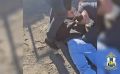 На Сахалине с поличным взяли курьера мошенников, который собирал с пенсионеров миллионы рублей