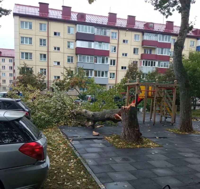 В Южно-Сахалинске с утра непогода - дождь и сильный ветер В Южно-Сахалинске с утра непогода - дождь и сильный ветер
